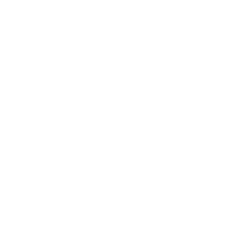 ce logo Scottsdale